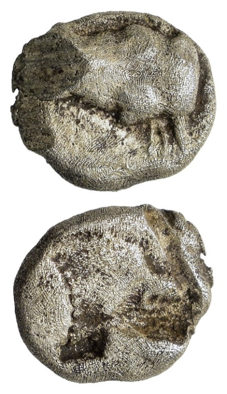 Phokis, Federal Coinage, c. 460-457 BC. AR Obol (7,8mm, 0.8g). Bull's head facin...