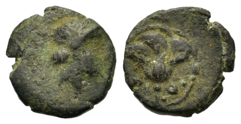 Islands off Caria, Rhodes, c. AD 350-300 BC. Æ (11,6mm, 1g). Head of Rhodos to r...