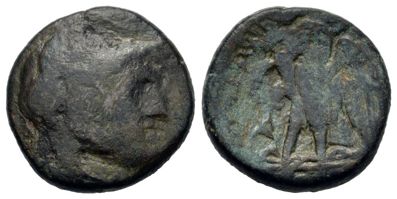 Ptolemaic Kings of Egypt. Ptolemy II (285-246 BC). Æ (20mm, 6.9). Head of Herakl...