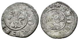 Italy, Florence, Republic (1315-1321). Picciolo (13mm, 0.65g, 4h). Lily. R/ Half bust of St John. Rosette symbol B. tav XLVI/46
