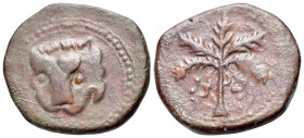 Italy, Sicily, Messina. Guglielmo II (1166 - 1189). Æ Trifollaro (24mm, 9.83g, 12h). Head of lion facing. R/ Palm tree with two clusters of dates. MEC...