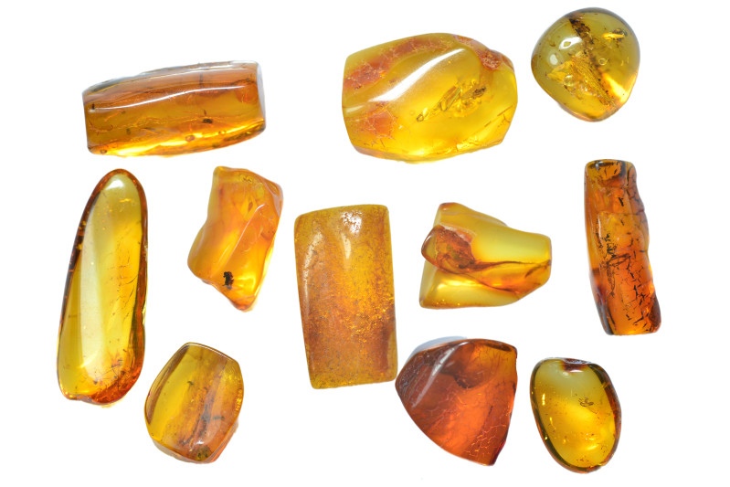 Baltic amber. Group lot of 10 pieces.