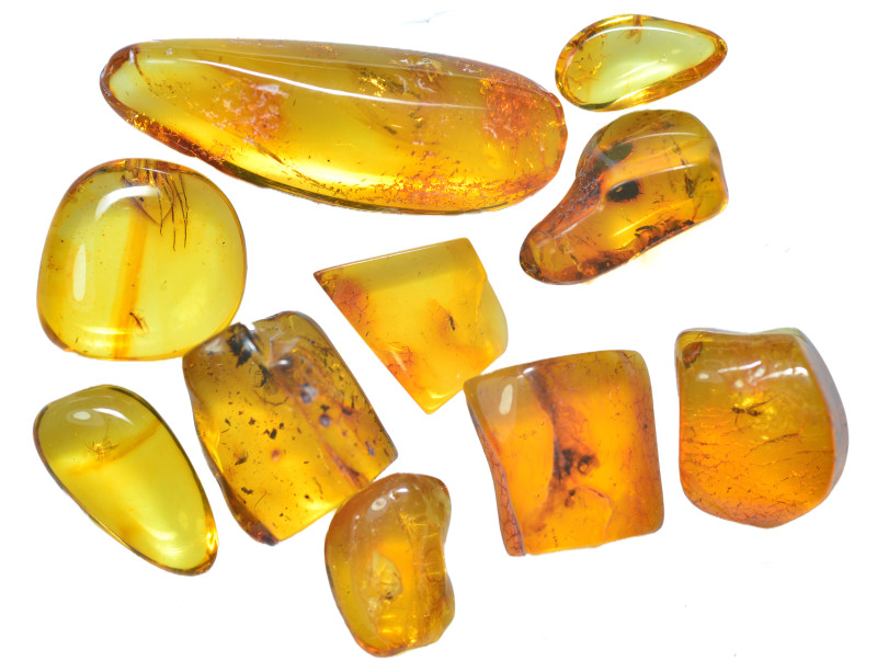 Baltic amber. Group lot of 10 pieces.