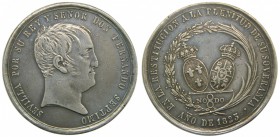 Fernando VII (1808-1833). 1823. Medalla proclamación. Sevilla. Ag 28,13 gr. Módulo 20 reales. ANV. SEVILLA POR SU REY Y SENOR DON FERNANDO SEPTIMO. RE...