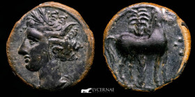 Carthaginians Bronze 1/2 Calco 2,60 g. 15 mm. Military mint 220-205 BC GVF+