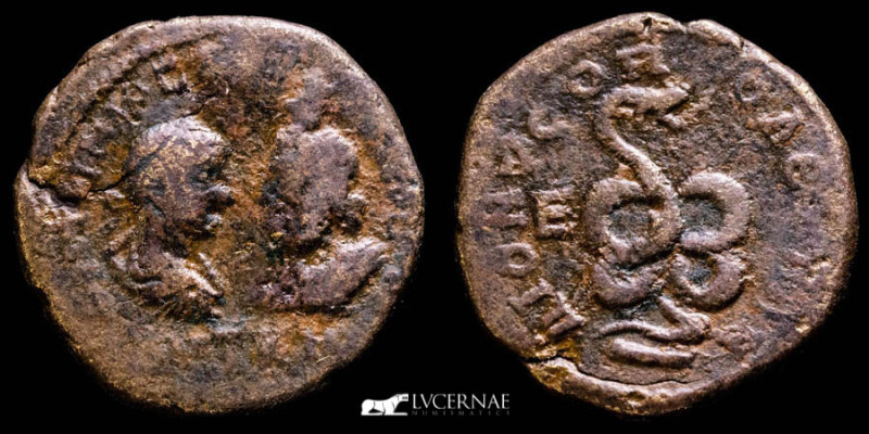 Roman Provincial Coins

MOESIA INFERIOR. Dionysopolis. Gordian III (238-244), wi...