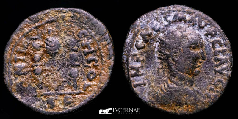 Roman Provincial

Pisidia. Antioch. Claudius II (Gothicus) AD 268-270. Bronze Æ2...