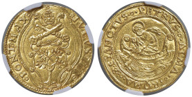 Giulio II (1503-1513) Doppio fiorino di camera - Munt. 8 AU RR La rosetta era il segno di zecca dello zecchiere Antonio Segni ed i conii furono opera ...