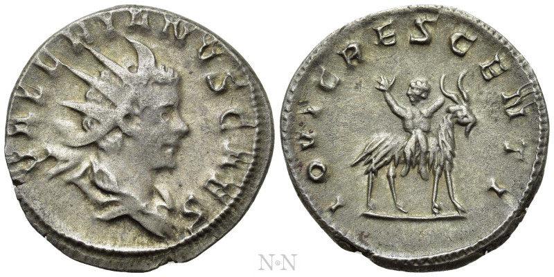 VALERIAN II (Caesar, 256-258). Antoninianus. Colonia Agrippinensis. 

Obv: VAL...