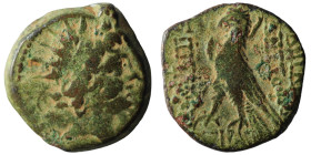 Seleucid Kingdom. Antiochos VIII. Epiphanes. (109-96 BC). Bronze Æ. Antioch. 18mm, 5,69g