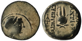 Seleucid Kingdom. Antiochos VII. Euergetes. (138-129 BC). Bronze Æ. Antioch. artificial sandpatina. 18mm, 6,49g