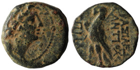 Seleucid Kingdom. Antiochos VIII. Epiphanes. (109-96 BC). Bronze Æ. Antioch. 18mm, 5,72g