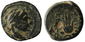 Seleucid Kingdom. Antiochos VII. Euergetes. (138-129 BC). Bronze Æ. Antioch. 18mm, 7,01g