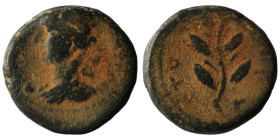 Seleucis and Pieria under Nero. (50-60AD). Pseudo-autonomous Bronze Æ. Antioch. artificial sandpatina. 14mm, 3,62g