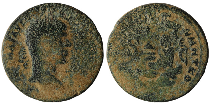 Elagabalus. (218-222 AD). Æ Bronze. Seleucis and Pieria. Antioch. Obv: laureate ...