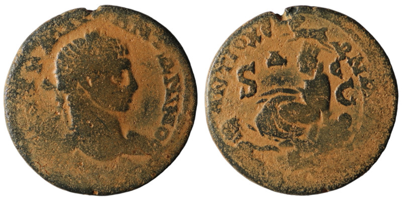 Elagabalus. (218-222 AD). Æ Bronze. Seleucis and Pieria. Antioch. Obv: laureate ...