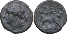 Greek Italy. Samnium, Southern Latium and Northern Campania, Aesernia. AE 20 mm, 265-240 BC. Obv. Head of Apollo left; behind, shield. Rev. Man-faced ...