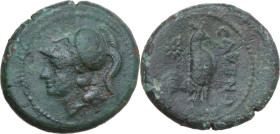 Greek Italy. Samnium, Southern Latium and Northern Campania, Cales. AE 21 mm. c. 265-240 BC. Obv. Helmeted head of Athena left. Rev. CALENO. Rooster s...