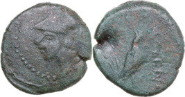 Greek Italy. Samnium, Southern Latium and Northern Campania, Cales. AE 19 mm. c. 265-240 BC. Imitative issue. Obv. Helmeted head of Athena left. Rev. ...