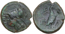 Greek Italy. Samnium, Southern Latium and Northern Campania, Cales. AE 19.5 mm. c. 265-240 BC. Obv. Helmeted head of Athena left; A behind. Rev. CALEN...