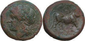 Greek Italy. Samnium, Southern Latium and Northern Campania, Cales. AE 21 mm, c. 265-240 BC. Obv. CALENO. Laureate head of Apollo left; behind, eight-...