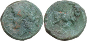 Greek Italy. Samnium, Southern Latium and Northern Campania, Cales. AE 20 mm, c. 265-240 BC. Obv. CALENO. Laureate head of Apollo left; behind, dolphi...