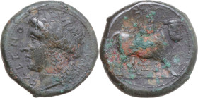 Greek Italy. Samnium, Southern Latium and Northern Campania, Cales. AE 21 mm, c. 265-240 BC. Obv. CALENO. Laureate head of Apollo left; behind, serpen...