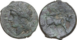 Greek Italy. Samnium, Southern Latium and Northern Campania, Compulteria. AE 19.5 mm. c. 265-240 BC. Obv. Oscan ethnic. Laureate head of Apollo left; ...