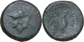 Greek Italy. Samnium, Southern Latium and Northern Campania, Teanum Sidicinum. AE. c. 265-250 BC. Obv. Head of Minerva left, wearing crested Corinthia...