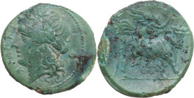 Greek Italy. Samnium, Southern Latium and Northern Campania, Teanum Sidicinum. AE 20.5 mm, 265-240 BC. Obv. Laureate head of Apollo left. Rev. Man-hea...