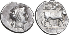 Greek Italy. Central and Southern Campania, Neapolis. AR Didrachm, 320-300 BC. Obv. Head of nymph right; behind, bunch of grapes; below, O. Rev. NEOΠO...