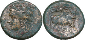 Greek Italy. Central and Southern Campania, Nola. AE 21 mm. c. 275-250 BC. Obv. [NΩΛΑΙ]. Laureate head of Apollo left. Rev. Man-headed bull walking ri...