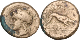 Greek Italy. Central and Southern Campania, Nuceria Alfaterna. AE 16.5 mm. 250-225 BC. Obv. Male head left. Rev. Oscan legend ALAFATERNVM. Hound right...