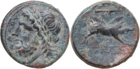 Greek Italy. Northern Apulia, Arpi. AE Unit, c. 325-275 BC. Obv. Laureate head of Zeus left; behind, thunderbolt. Rev. Wild boar right; above, spearhe...