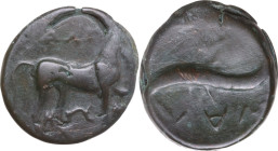 Greek Italy. Northern Apulia, Salapia. AE 18.5 mm, 275-250 BC. Obv. ΔΑΙΟΥ. Horse right. Rev. ΣΑΛ. Dolphin left. HN Italy 685; HGC 1 637. AE. 6.00 g. 1...