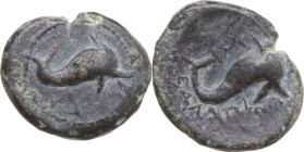 Greek Italy. Northern Apulia, Salapia. AE 14 mm, c. 275-250 BC. Obv. Dolphin right; below, Δ. Rev. Dolphin right; below, ΣΑΛΑΠΙΝΩΝ. HN Italy 689. AE. ...