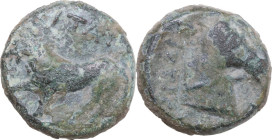 Greek Italy. Northern Apulia, Teate. AE 18 mm. 325-275 BC. Obv. [T]IATI retrograde. Lion walking left. Rev. B I Δ A I I[- A R A] retrograde. Head and ...