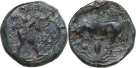 Greek Italy. Northern Lucania, Posidonia. AE 12 mm. c. 420 -390 BC. Obv. Poseidon walking right, brandishing trident. Rev. Bull butting left; octopus ...