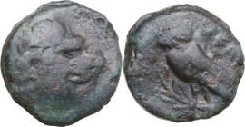 Greek Italy. Northern Lucania, Velia. AE 14 mm, late 5th century. Obv. Head of Herakles right, wearing lion-skin. Rev. ΥΕΛΗ. Owl standing left, wings ...