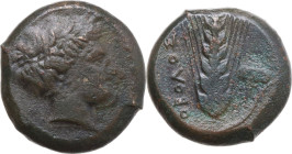 Greek Italy. Southern Lucania, Metapontum. AE Obol, 400-340 BC. Obv. Head of Demeter right, wearing wreath of grain. Rev. Ear of barley; to right, pop...