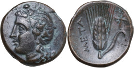 Greek Italy. Southern Lucania, Metapontum. AE 16 mm. Early-to mid-3rd century century BC. Obv. Head of Dionysos left, wearing ivy wreath. Rev. META. B...