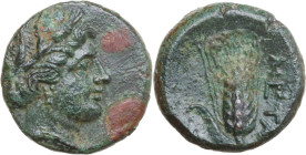 Greek Italy. Southern Lucania, Metapontum. AE 14 mm, 300-250 BC. Obv. Head of Demeter right, wearing wreath of barley. Rev. Ear of barley with leaf to...