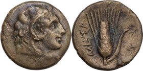 Greek Italy. Southern Lucania, Metapontum. AE 14 mm, c. 300-250 BC. Obv. Head of Herakles right, wearing lion skin. Rev. Barley-ear with leaf to right...