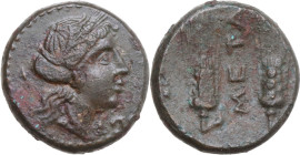 Greek Italy. Southern Lucania, Metapontum. AE 17 mm, 250-207 BC. Obv. Head of Demeter right, wearing wreath of grain. Rev. Two ears of barley; between...