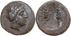 Greek Italy. Southern Lucania, Metapontum. AE 17.5 mm, late 3rd century BC. Obv. Head of Demeter right, wreathed with grain. Rev. META. Two grain ears...