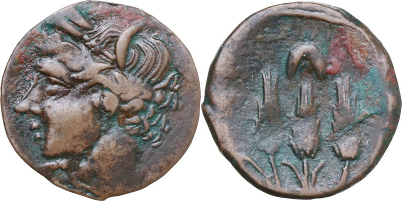 Punic Sardinia. AE Shekel (?). Circa 241-215 BC. Uncertain mint. Obv. Wreathed h...