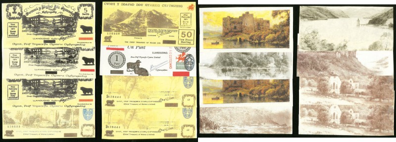 Great Britain Wales Private / Fantasy Issues ca. 1969-1971 Eight Examples Crisp ...