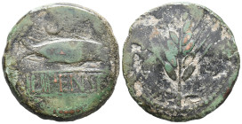 Spain, Ilipense, 2nd century BC. Æ As (32mm, 16.60g). Grain ear. R/ Fish r.; crescent above, ethnic between two lines below; A below. CNH 2. Green pat...