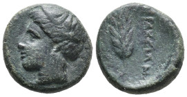 Southern Lucania, Herakleia, c. 281-272 BC. Æ (16mm, 5.07g). Head of Demeter l. R/ Grain-ear. Van Keuren 153; HNItaly 1442; SNG ANS 99. Near VF