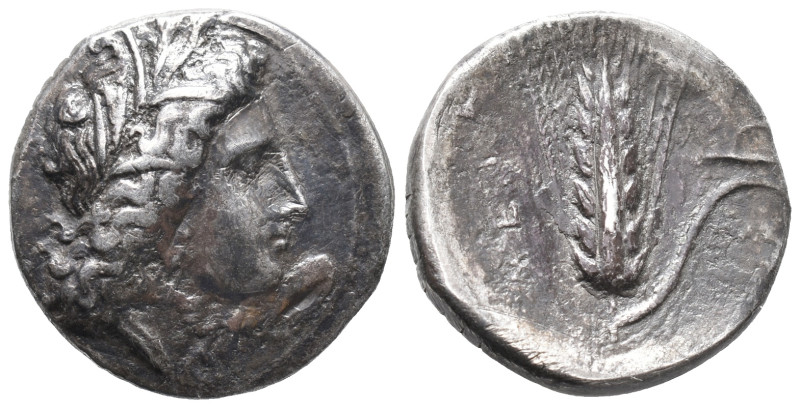 Southern Lucania, Metapontion, c. 325-275 BC. AR Stater (21mm, 7.13g). Head of D...